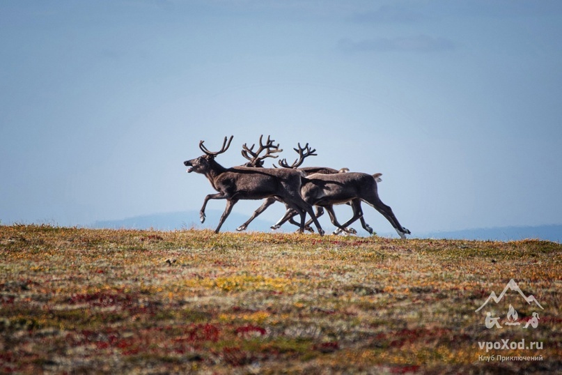Фото: Татьяна Коцюрба