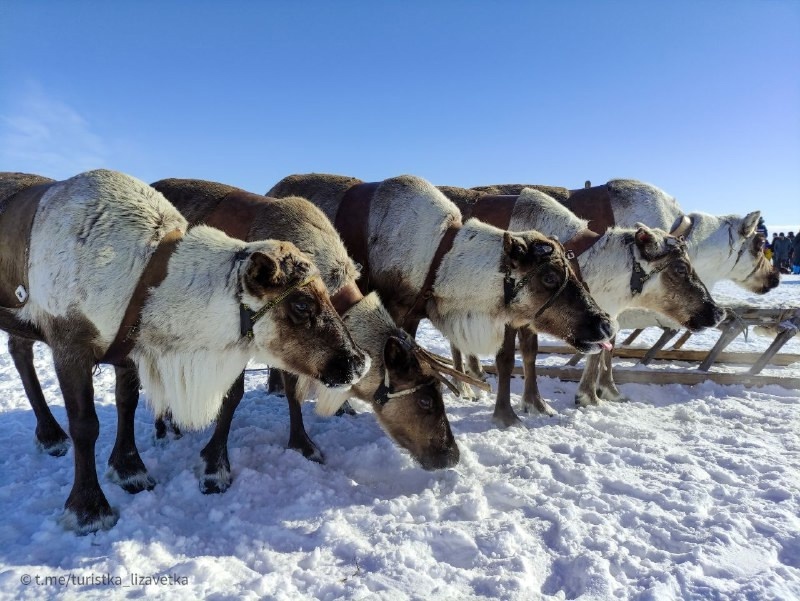 Фото: Лиза Куравина
