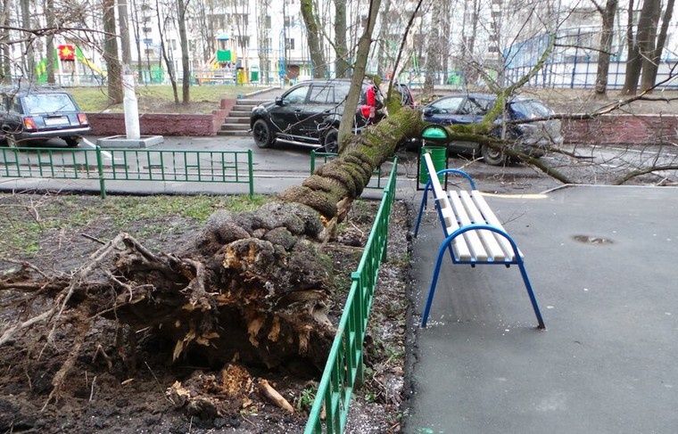    Агентство «Москва»