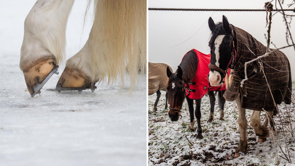 Фото: © Использованы материалы: Global Look Press/Ana Fernandez/Keystone Press Agency, Global Look Press/Christina Sabrowsky/dpa