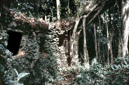 Город "Паитити"