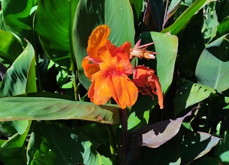 Фотография из личного архива автора