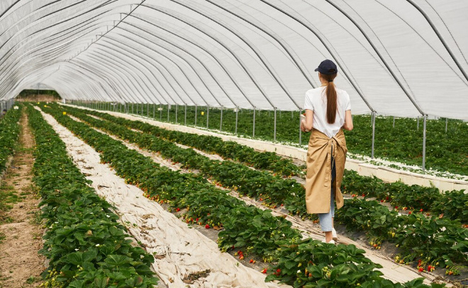    © serhii_bobyk / ru.freepik.com