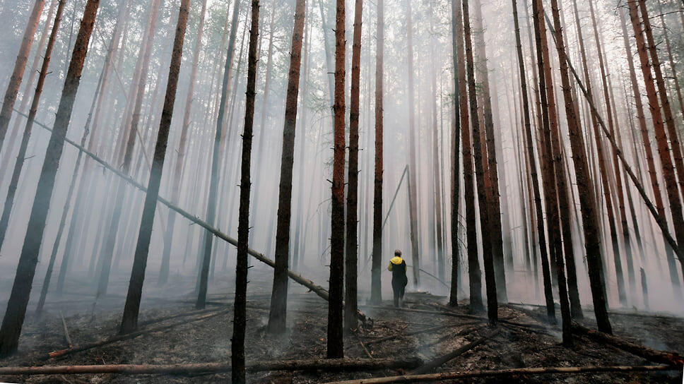 Фото: Марина Молдавская / Коммерсантъ