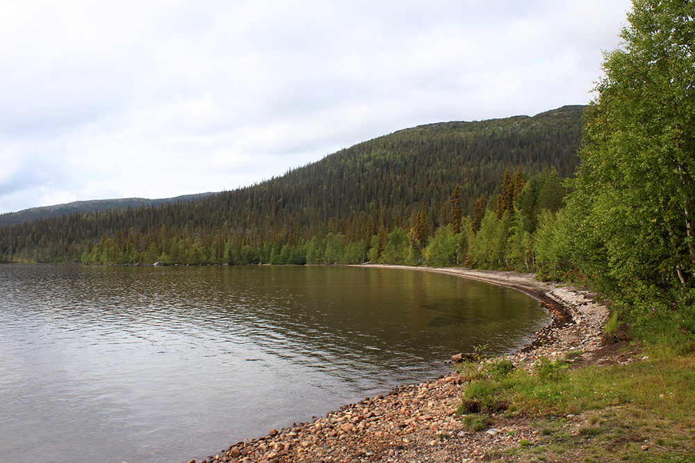Лапландский природный биосферный заповедник. Фото автора
