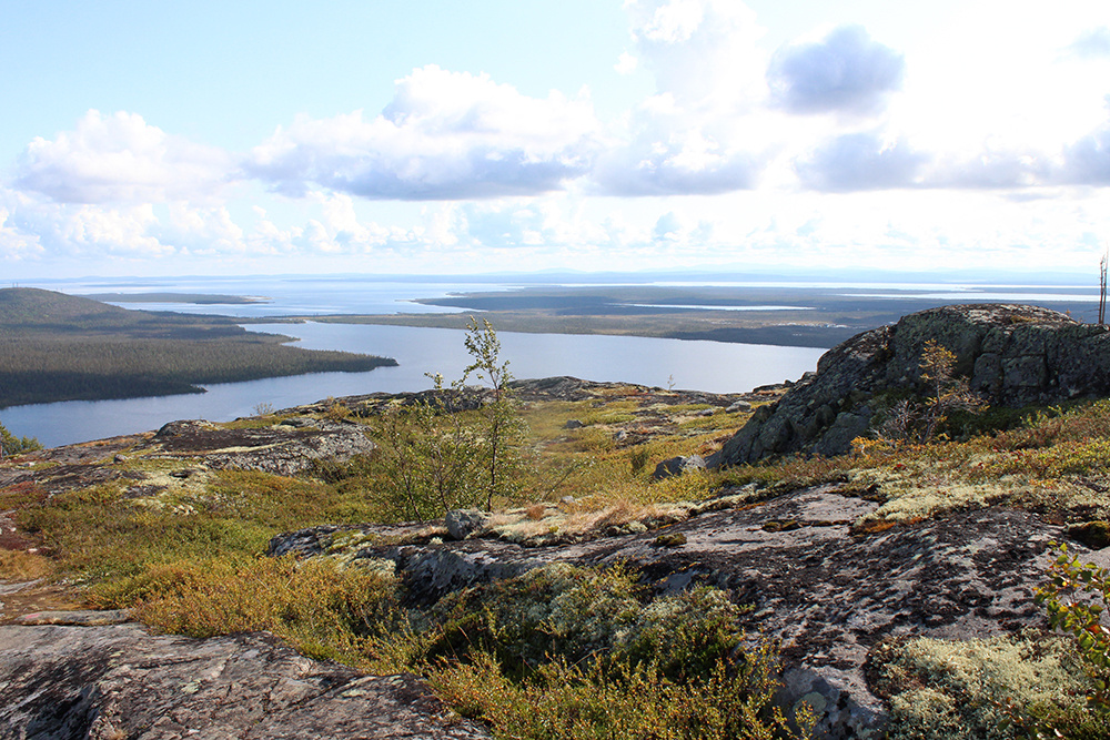 Лапландский природный биосферный заповедник. Фото автора