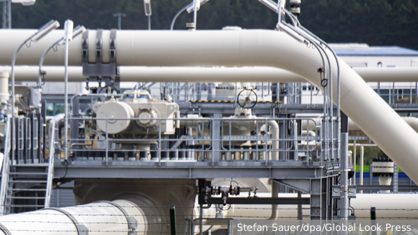     Фото: Stefan Sauer/dpa/Global Look Press   
 Текст: Ольга Иванова