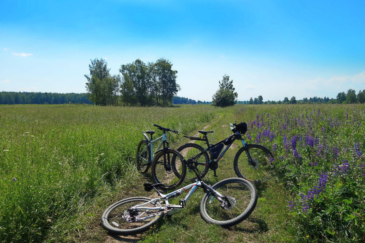 Дорога до Аргуново