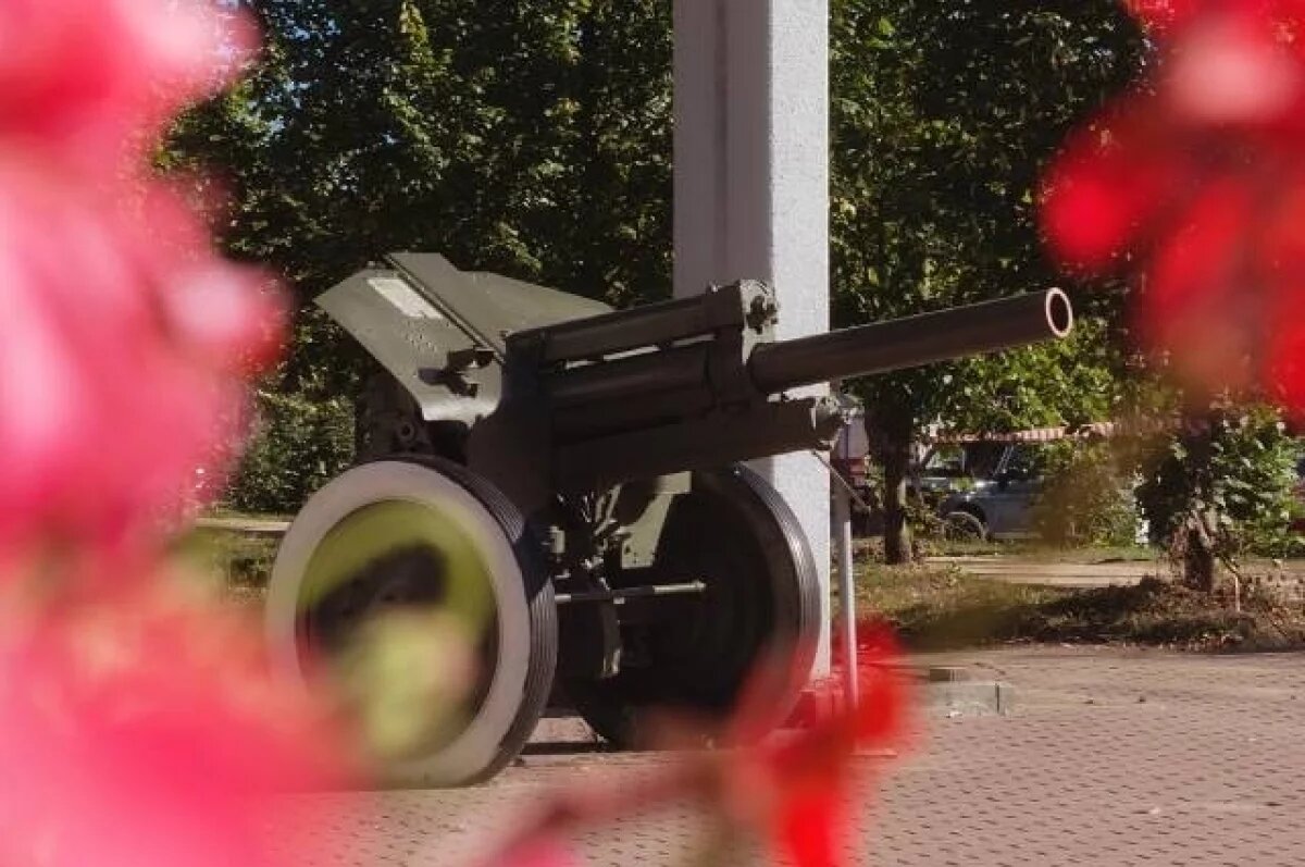    Стал известен новый владелец гаубицы на въезде в Тверь