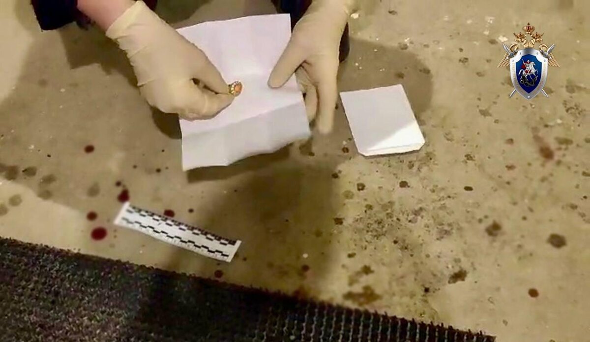    Фото: t.me/gsuskrf_spb