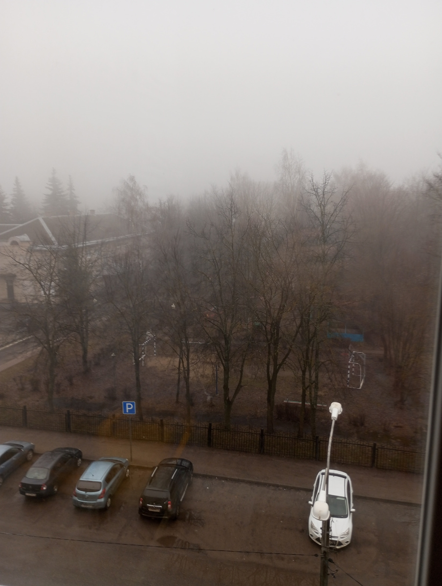 Утренний туман. 
