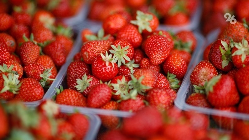      Фото: ИА «Победа26»