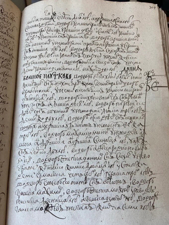 Переписная книга. РГАДА.