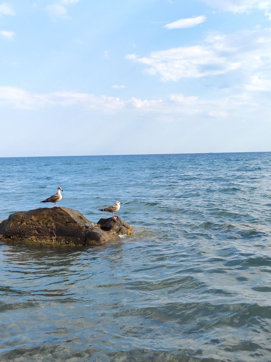 Черное море