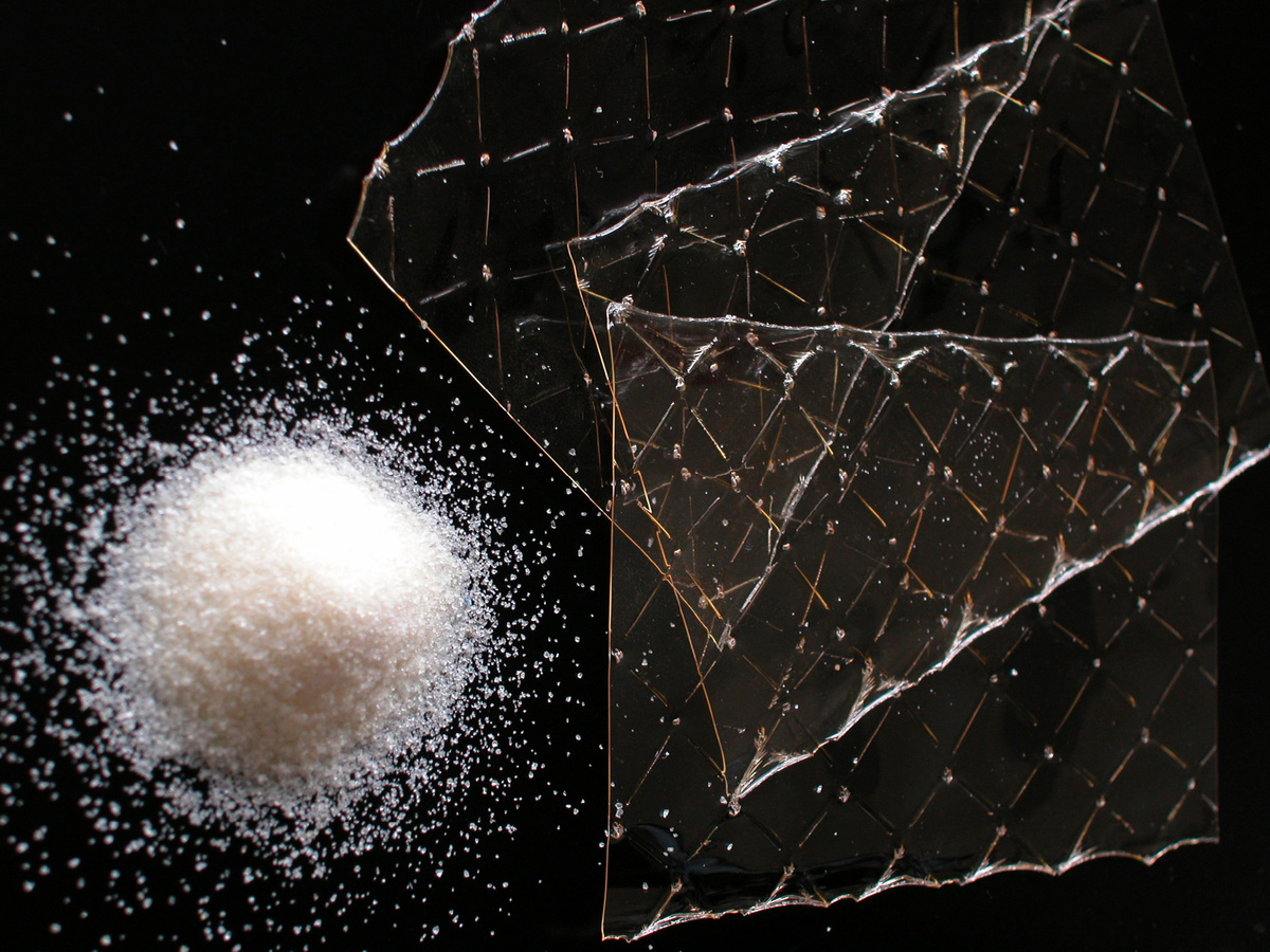 Фото: © Ulrich Niehoff/ imageBROKER.com/ Global Look Press