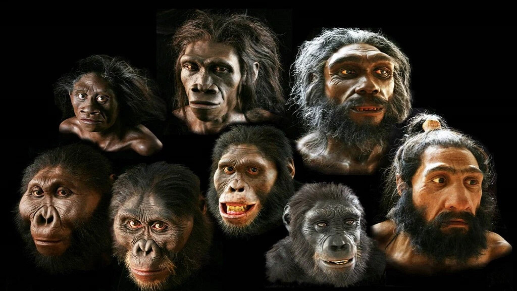 Фото из интернета.