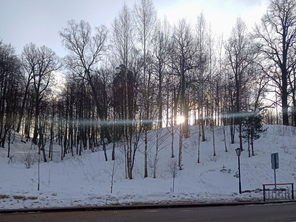 Дорога к скиту (11 февраля 2023)