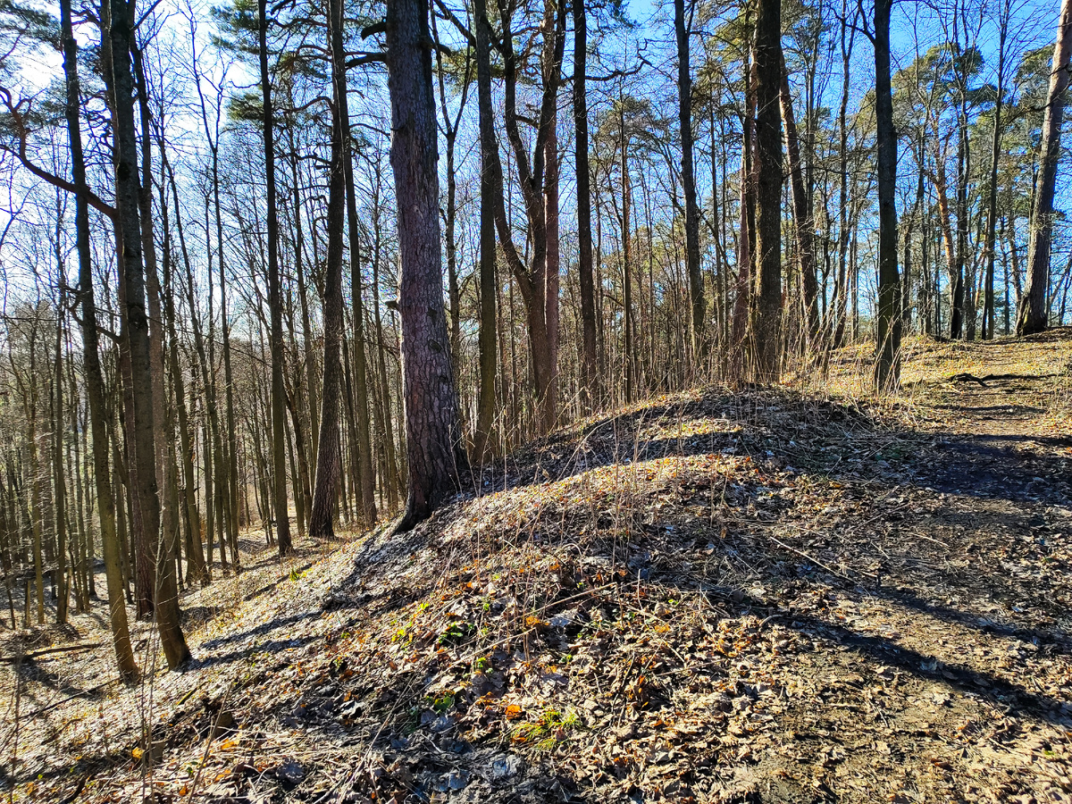 Придорожный холм