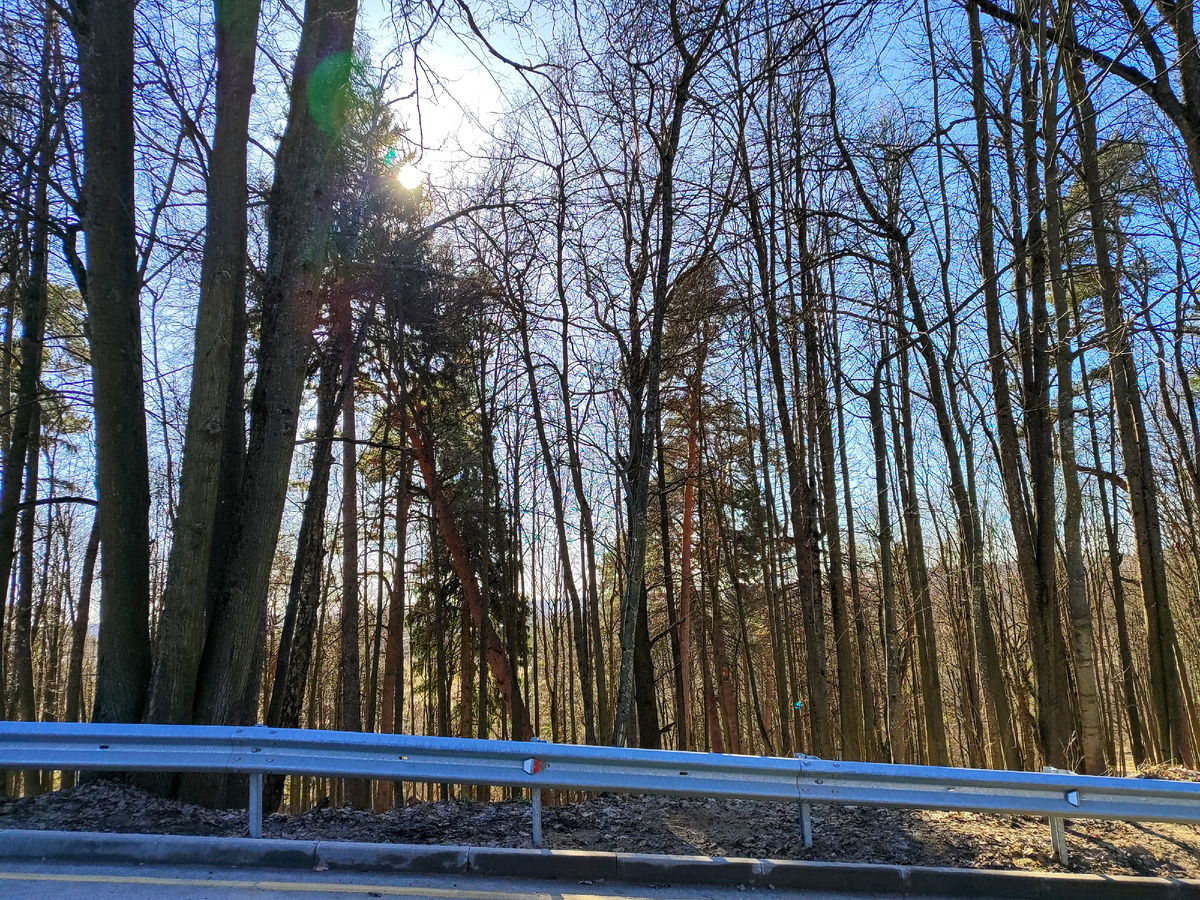 Чтобы на холм попасть, придется перелезть ограждение