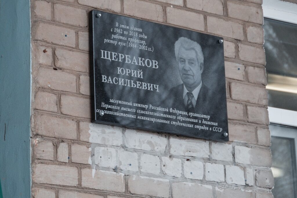    Фото: Студенческие отряды Пермского края/VK Ульяна Бажанова