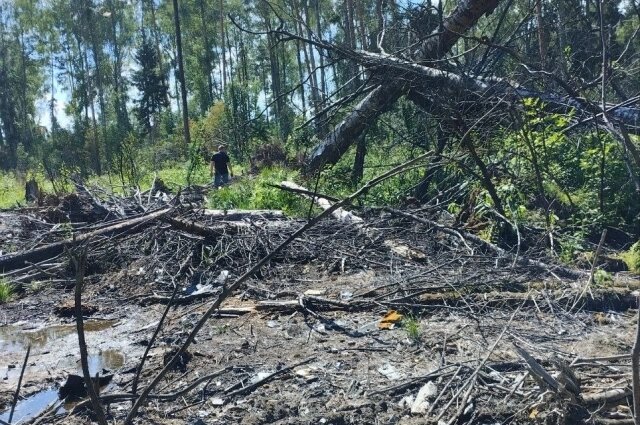    Родные ещё летом ездили на место крушения самолёта. а теперь здесь установлен памятный знак. Фото: Из архива/ Ольга Левашова