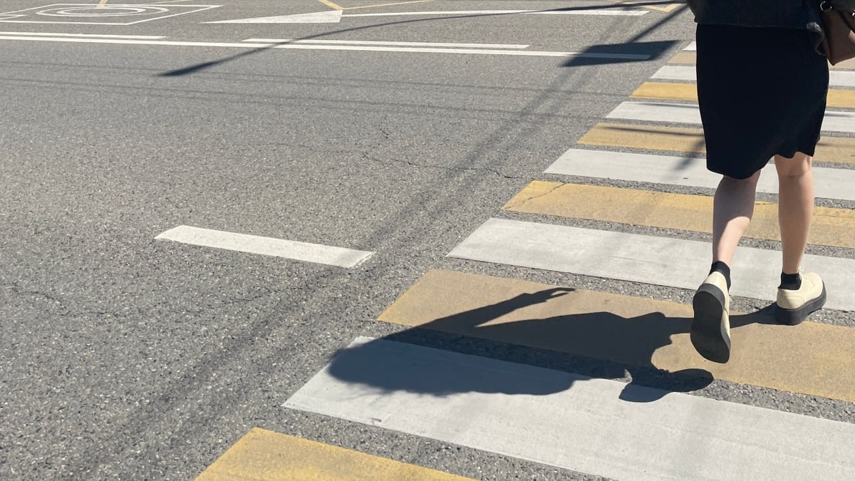 Фото: Утренний Юг