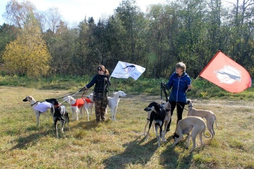Слюги и тазы питомника Борзомир