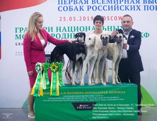 Слюги и тазы питомника Борзомир