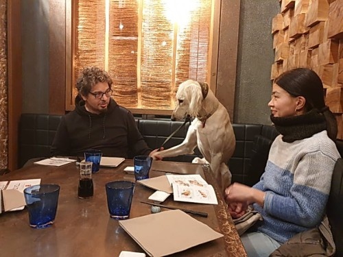 Выпускник нашего питомника - тазы Борзомир Джамиль