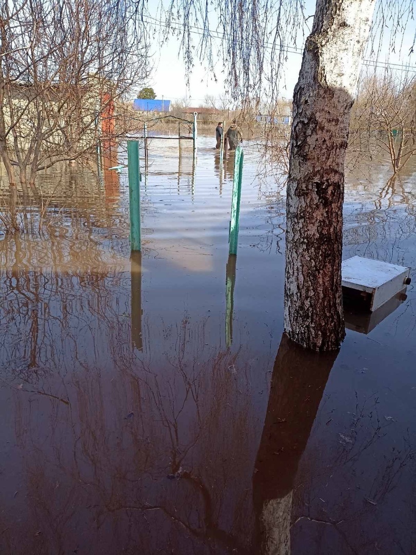    Фото: Анастасия Федосеева