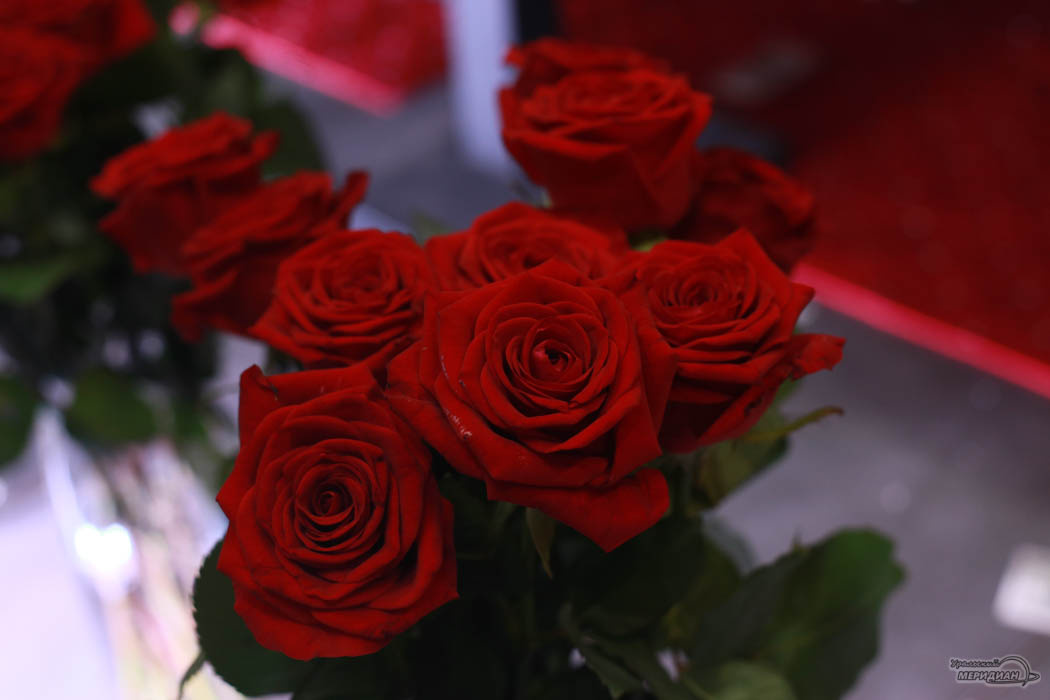    Фото: Ольга Юшкова © ИА «Уральский меридиан»