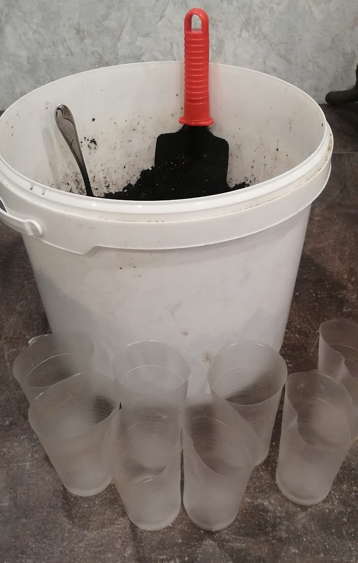 Все гтово к посадке