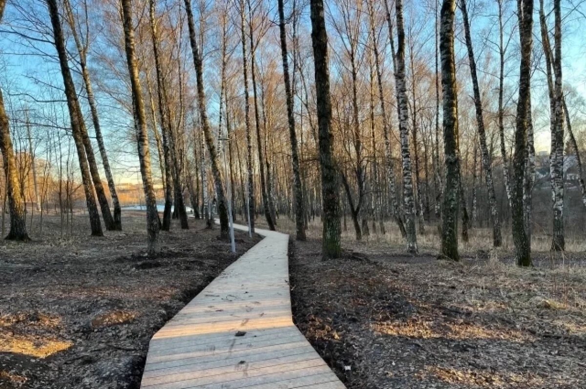    В Туле 14 марта ожидается порывистый ветер и до +15