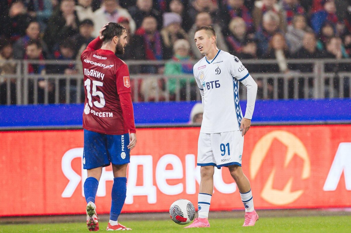 Миралем Пьянич и Ярослав Гладышев