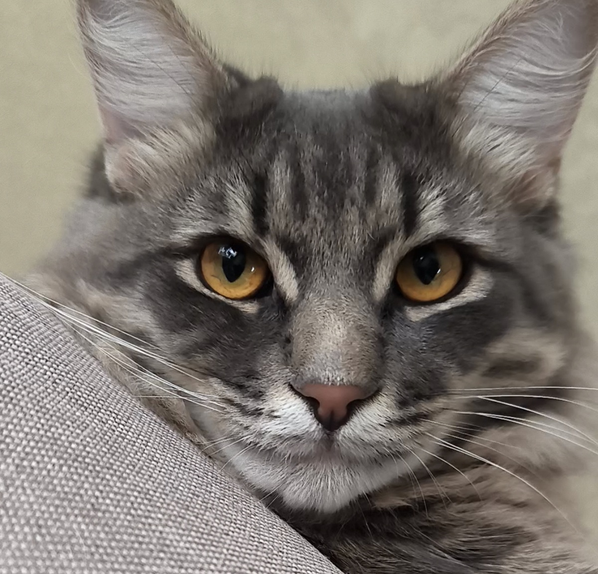 Все фотографии в статье авторские. Бася