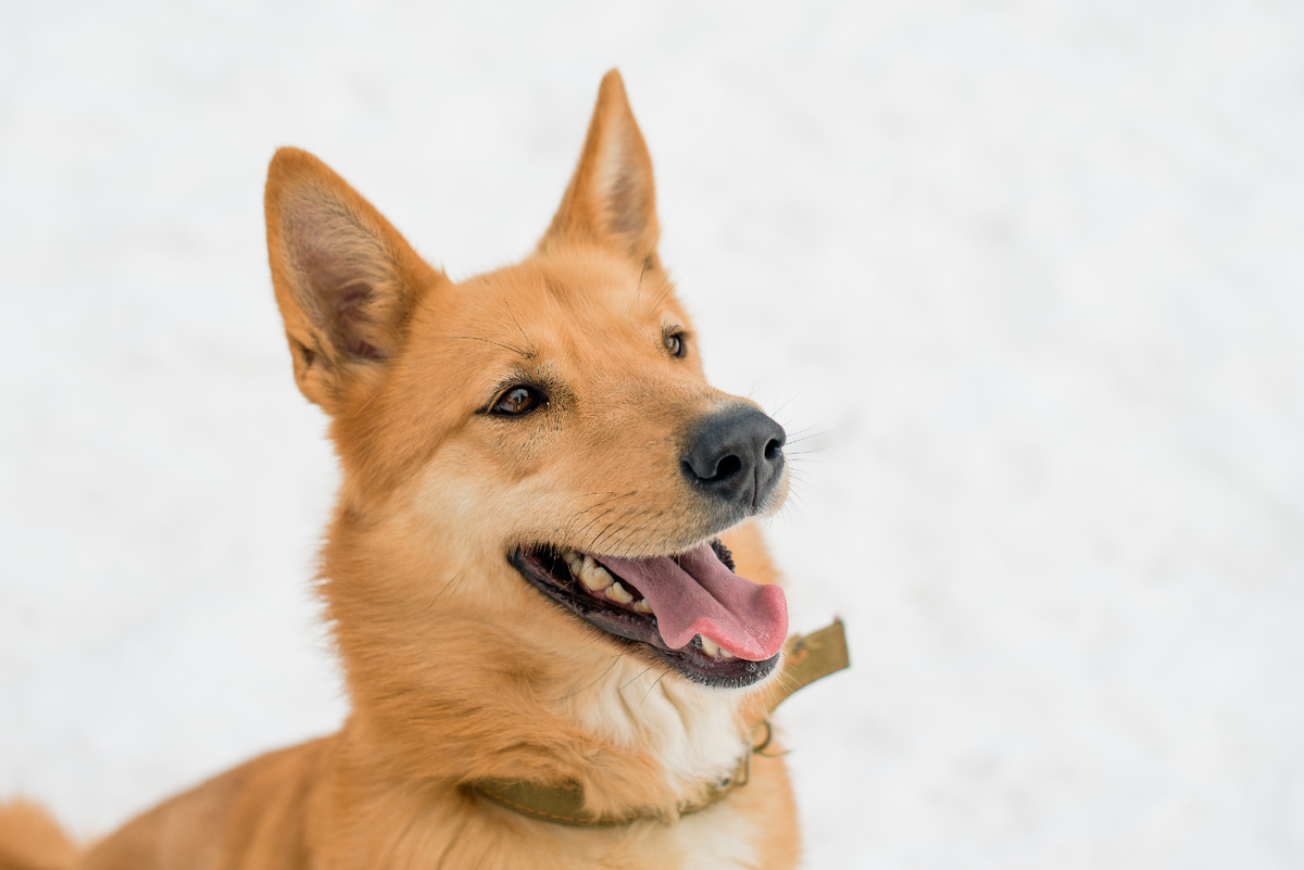Я считаю, что я не должна грустить на фотографиях. А вдруг ищет именно такую, как я? Девочку - Испанию