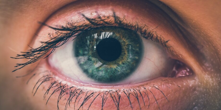 Фото: 123RF/andriano