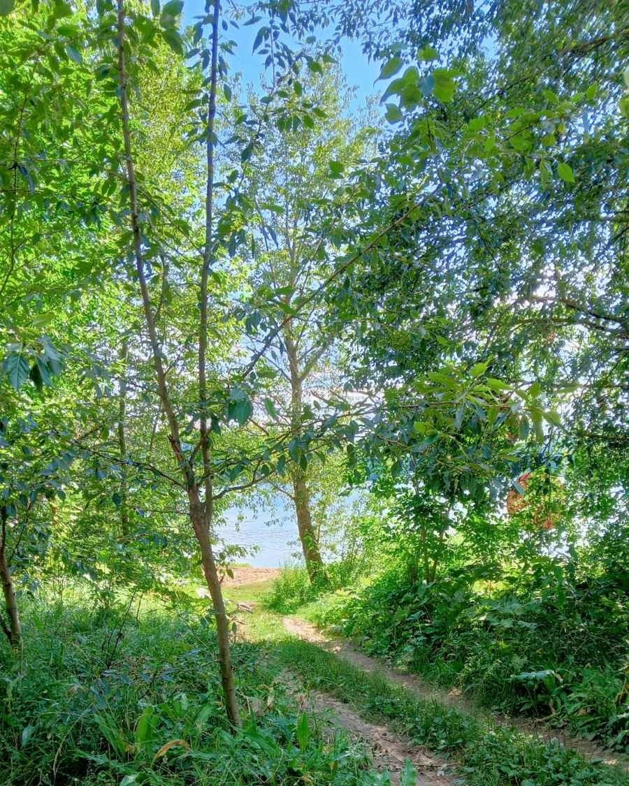 река показалась