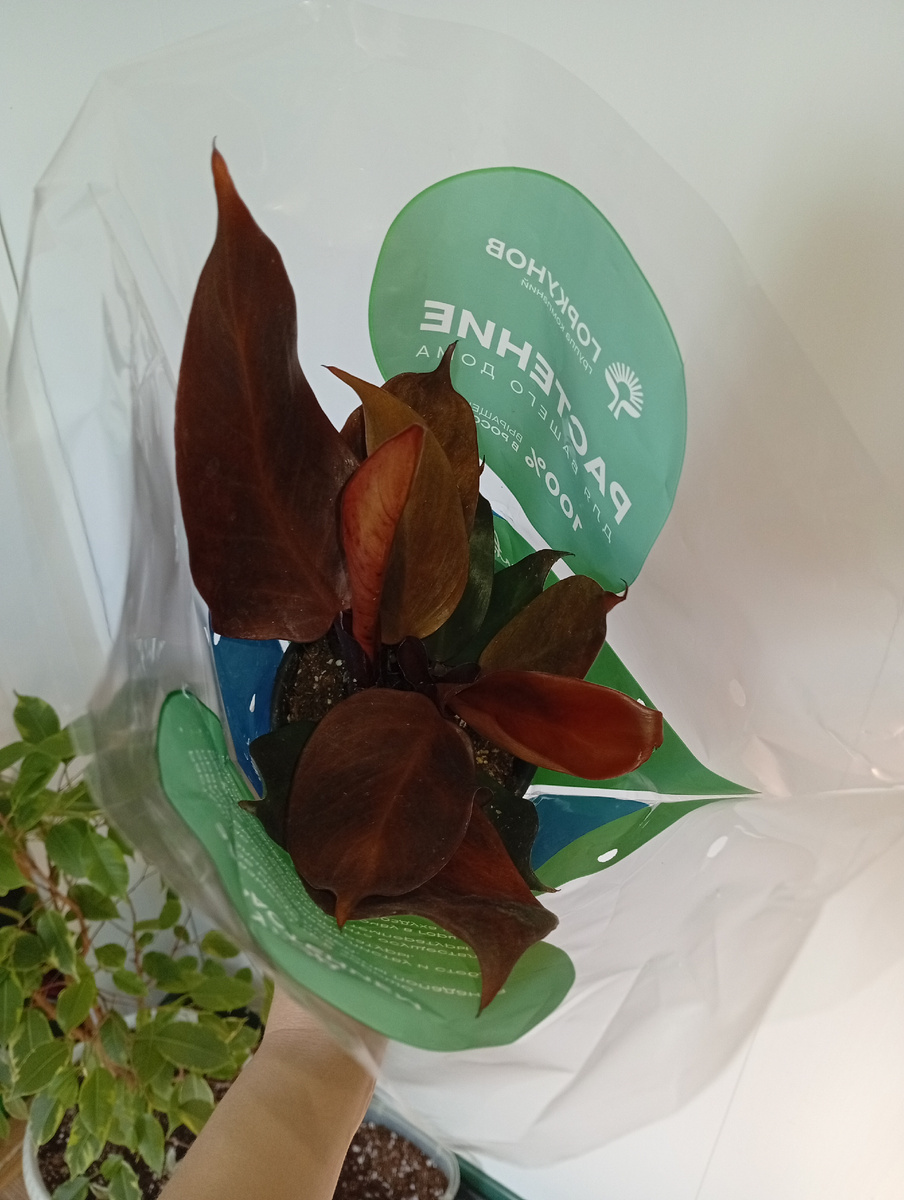 Цена 450 рублей.