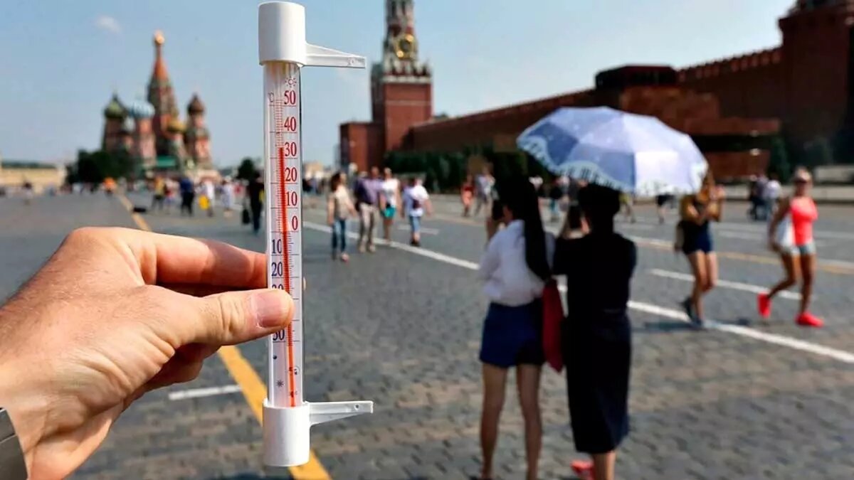 Число аномальной жары в России в 2024 году выросло на четверть. Источник: Skolkovo.moscow