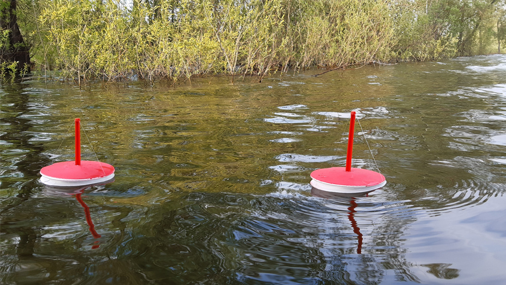 Фото взято из открытых источников.