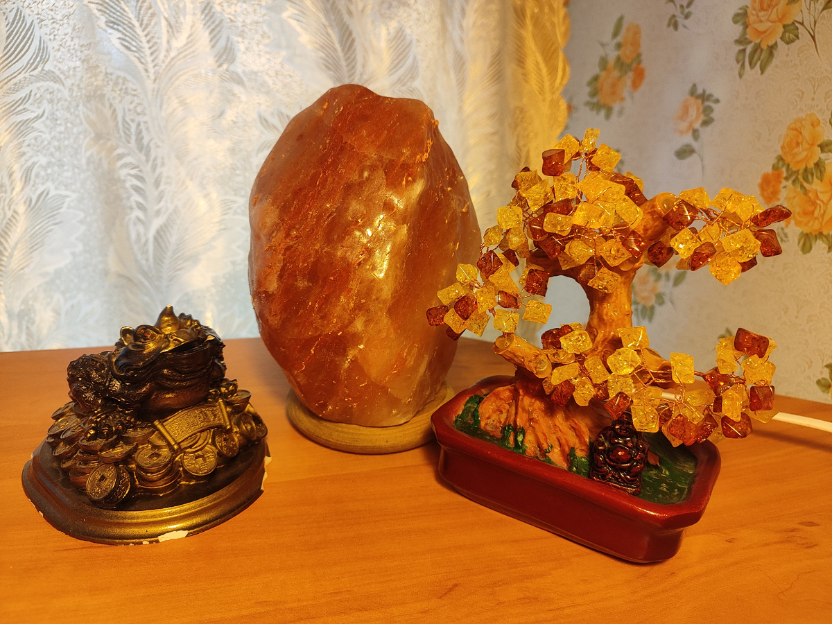 Фото автора.