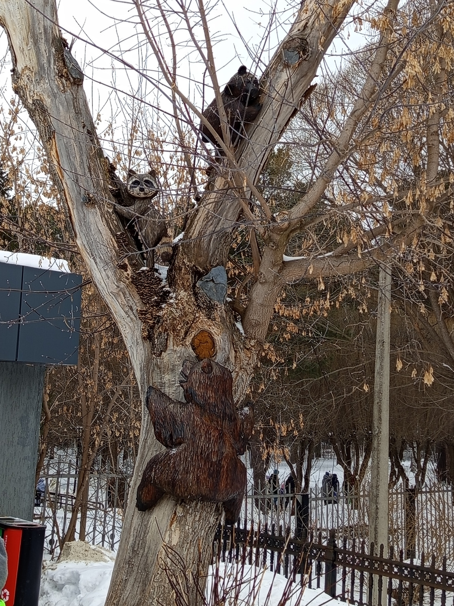 Забавное дерево на входе на курорт