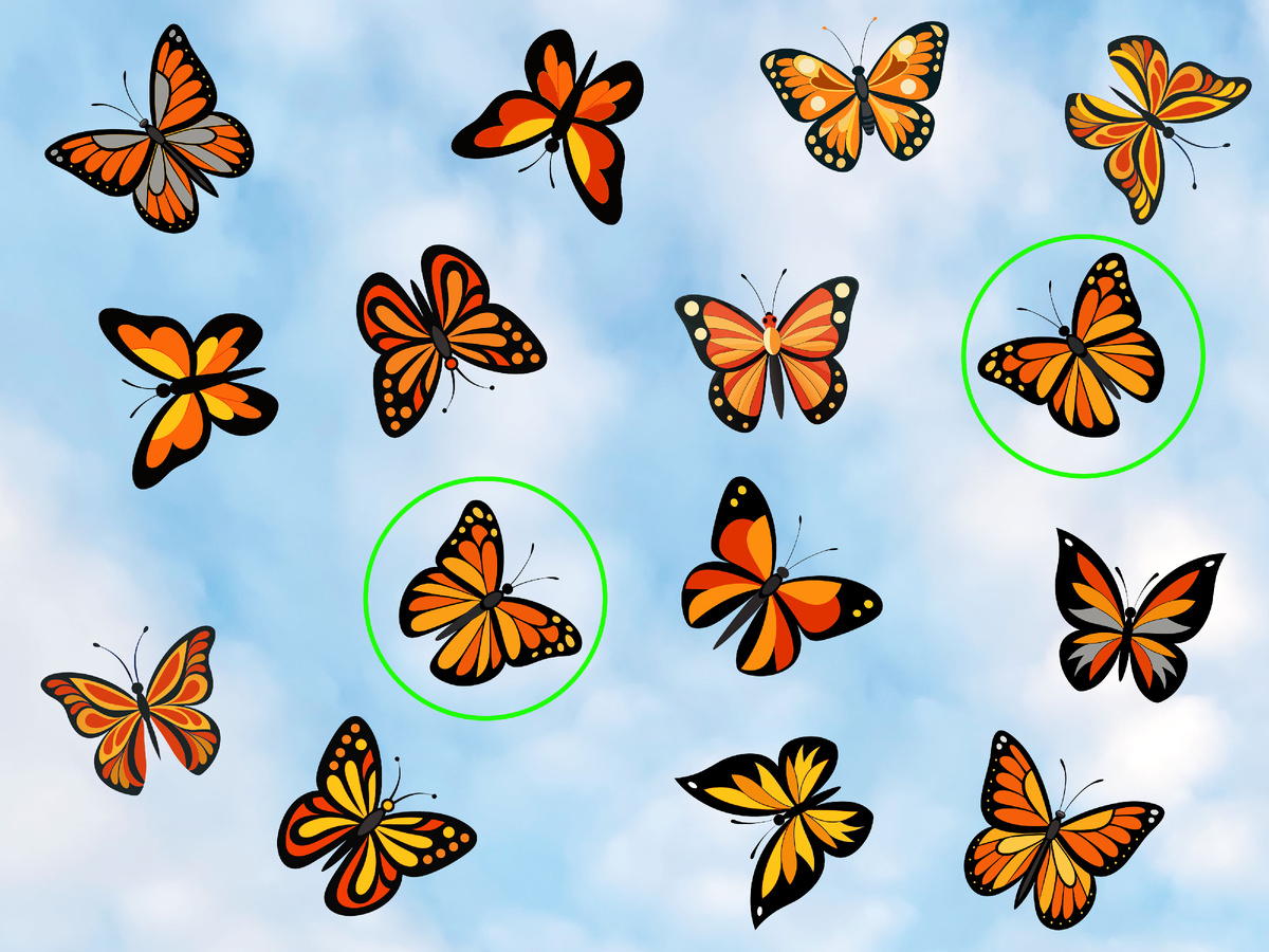 А вот и ответ!