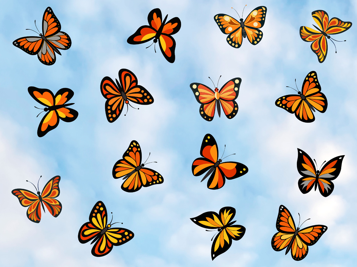 Найдите здесь две одинаковые бабочки