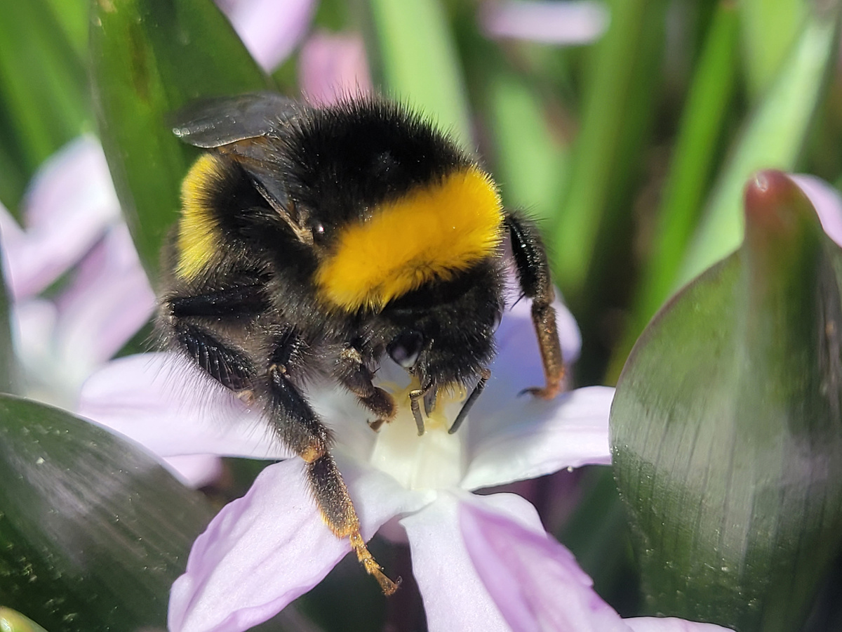Весна 2024 года