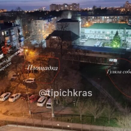    Место происшествия. Фото: t.me/tipichkras