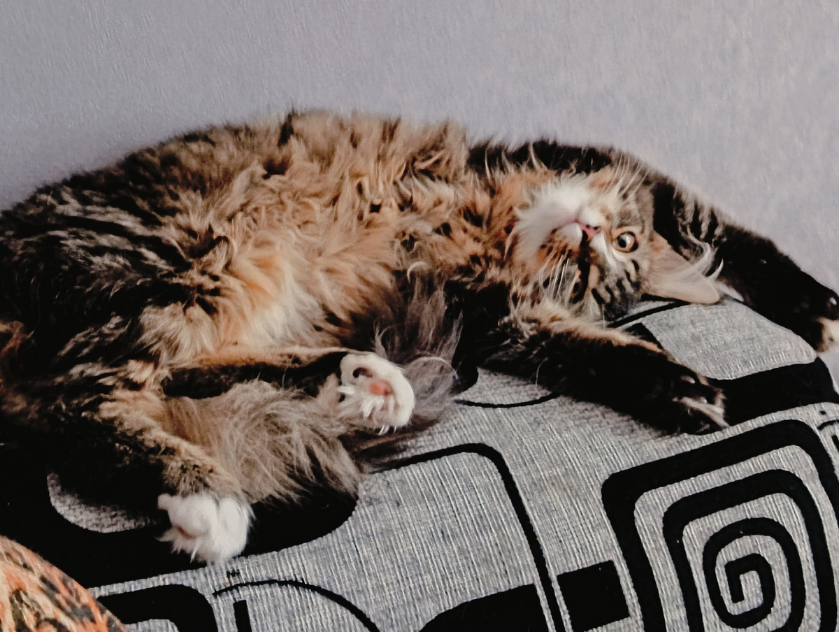 Писали статью вместе, уморились