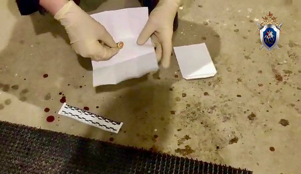    Фото: пресс-служба ГСУ СК РФ по Петербургу