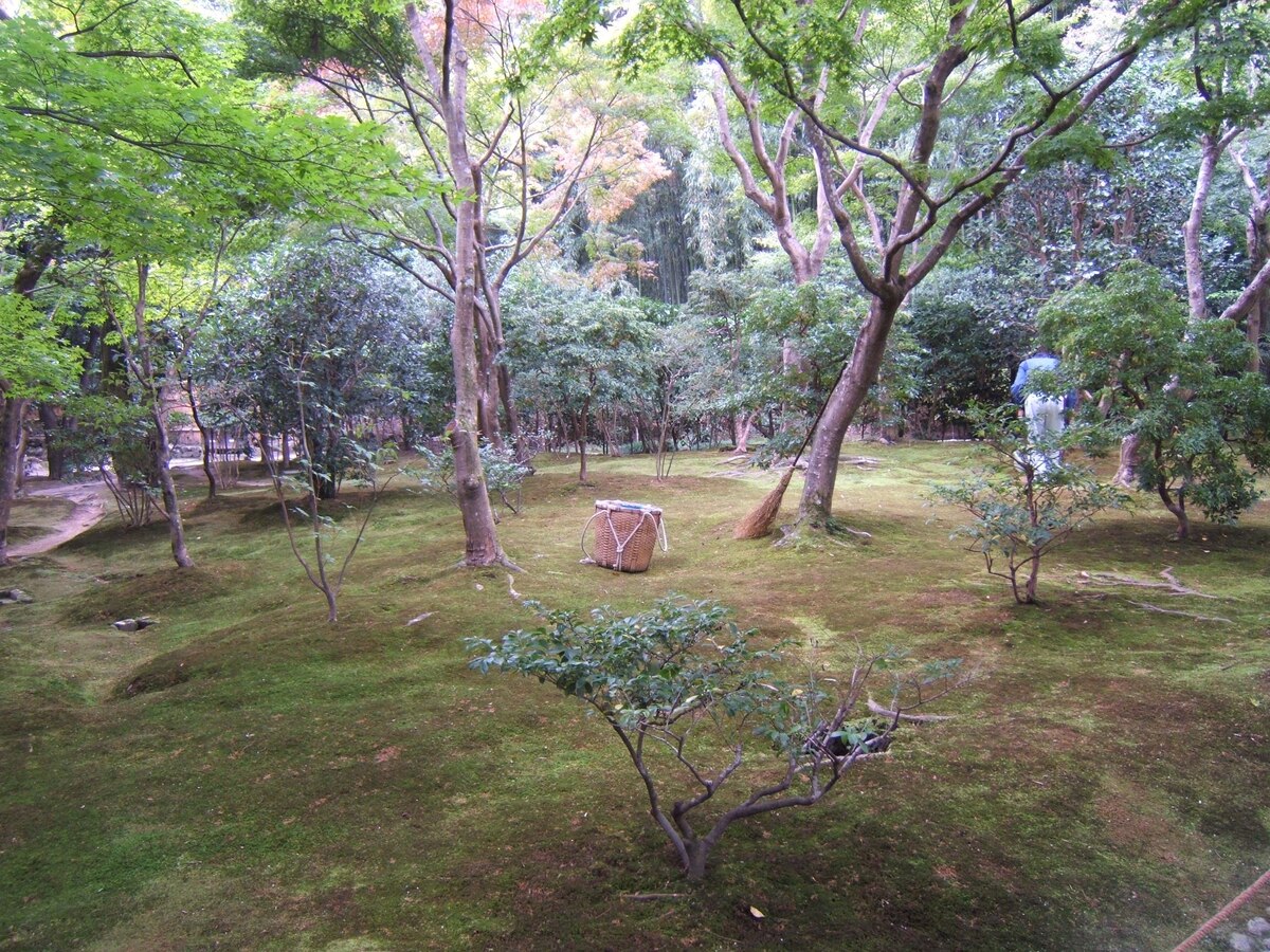 "Вечная красота" - фотогалерея